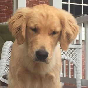 Meet your Posher, Barbara